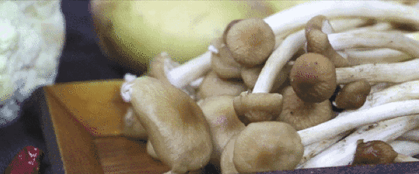 茶樹菇動(dòng)圖