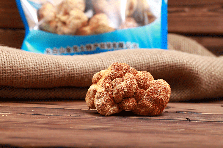 猴頭菇動(dòng)圖